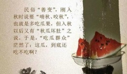 吃瓜文章全集免费阅读,揭秘娱乐圈幕后真相，免费畅读大揭秘